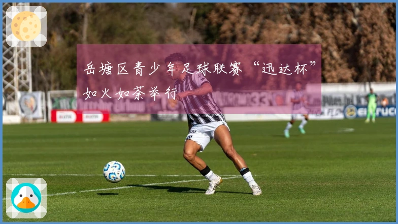 岳塘区青少年足球联赛“迅达杯”如火如荼举行