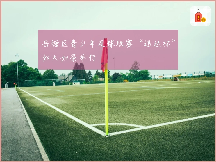 岳塘区青少年足球联赛“迅达杯”如火如荼举行